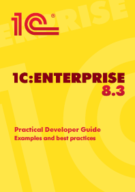 Practical developer guide cover