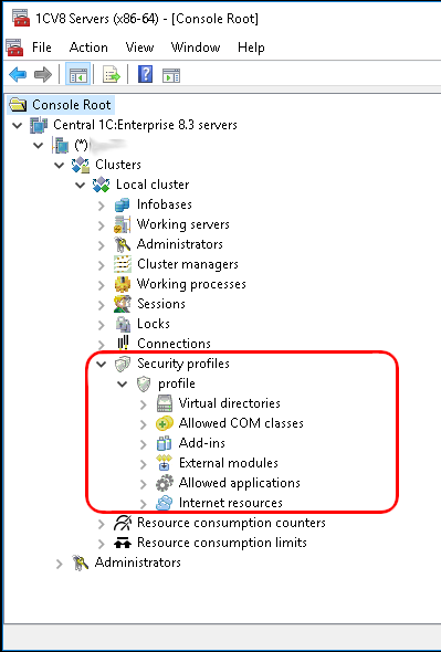 EN 04 Security Profiles.png